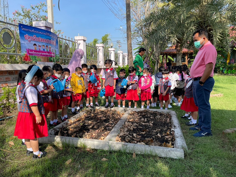 🥦✨ ปลูกผักปลอดสารพิษกินได้🌱👧👦 - รูปที่ 9