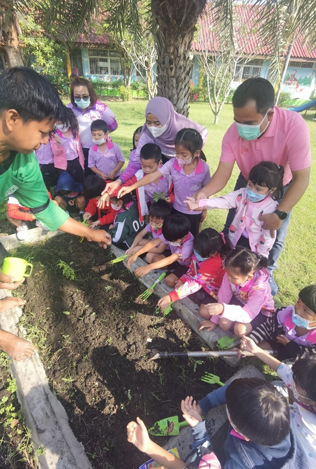 🥦✨ ปลูกผักปลอดสารพิษกินได้🌱👧👦 - รูปที่ 6