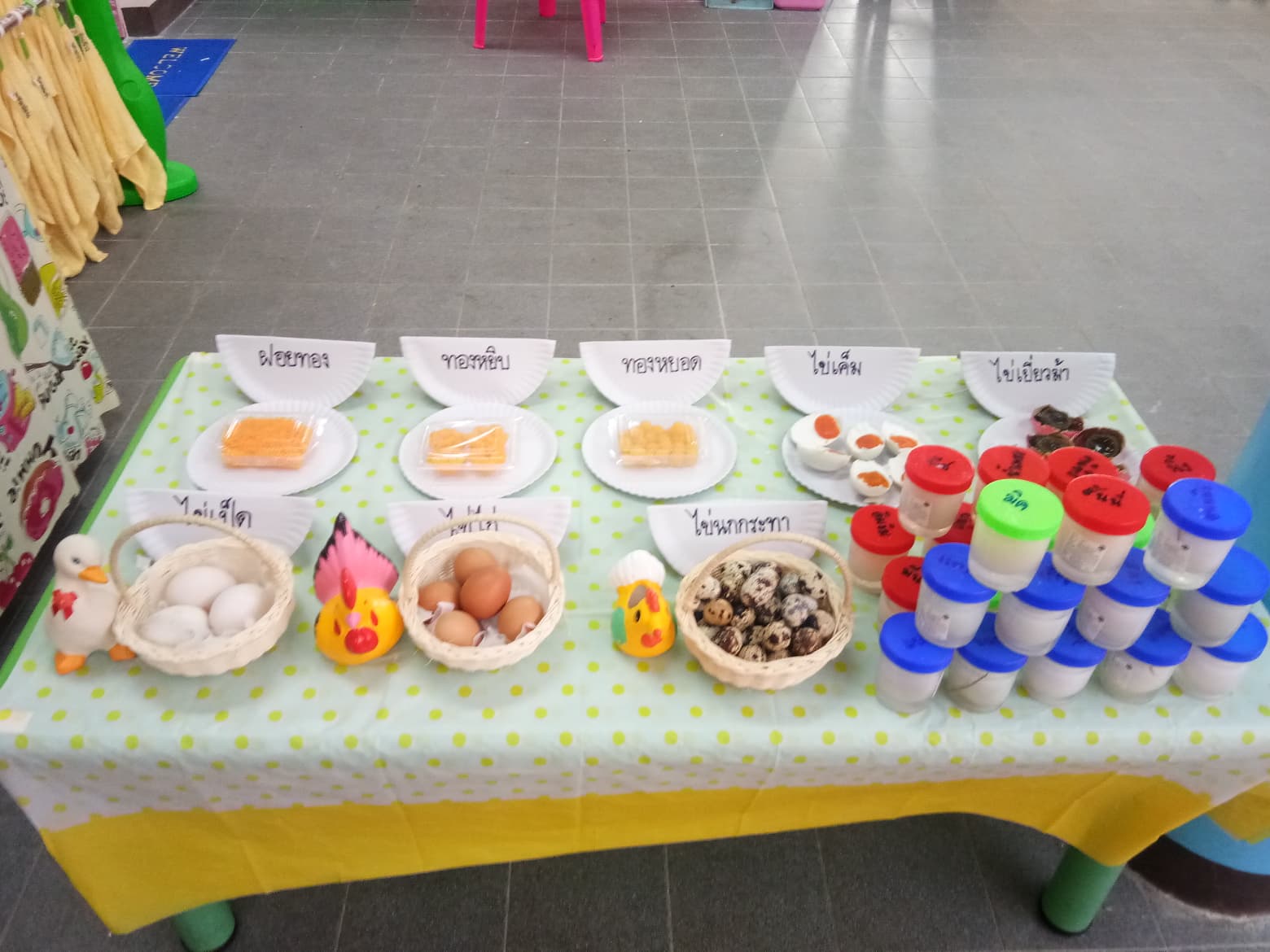 🥚✨ โครงงานสนุกคิดกับ "โครงการเรื่องไข่" เรียนรู้มหัศจรรย์จากฟองกลมๆ 🐣🔬 - รูปที่ 11
